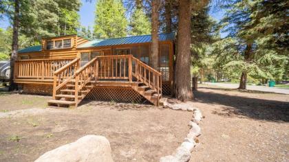 The Cottonwood Cabin #17 - image 3