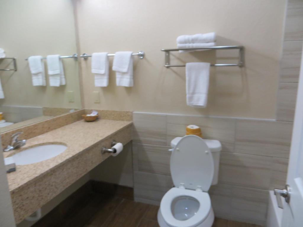 Scottish Inn & Suites Baytown - image 3