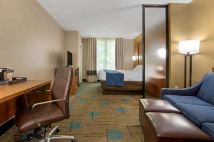 Comfort Suites near MCAS Beaufort - image 15