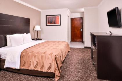 Quality Inn and Suites Beaumont - image 15