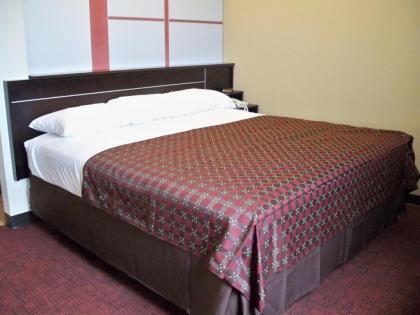 Red Roof Inn & Suites Beaumont - image 12