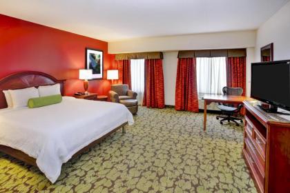 Hilton Garden Inn Chicago/Midway Airport - image 8