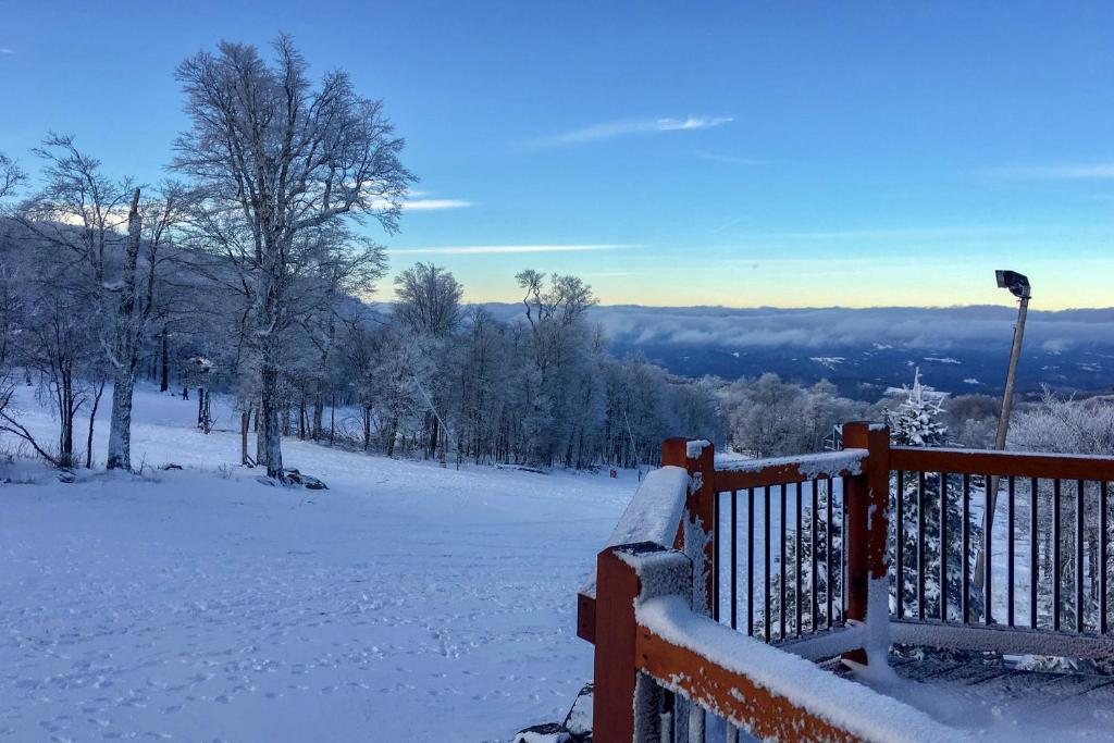 Ski-in and Ski-out Beech Mountain Cabin with Deck! - image 6