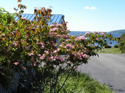 Colonial Gables Oceanfront Village - image 15