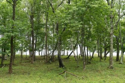 Tentrr - Pearl Brook Farm Overlook - image 13