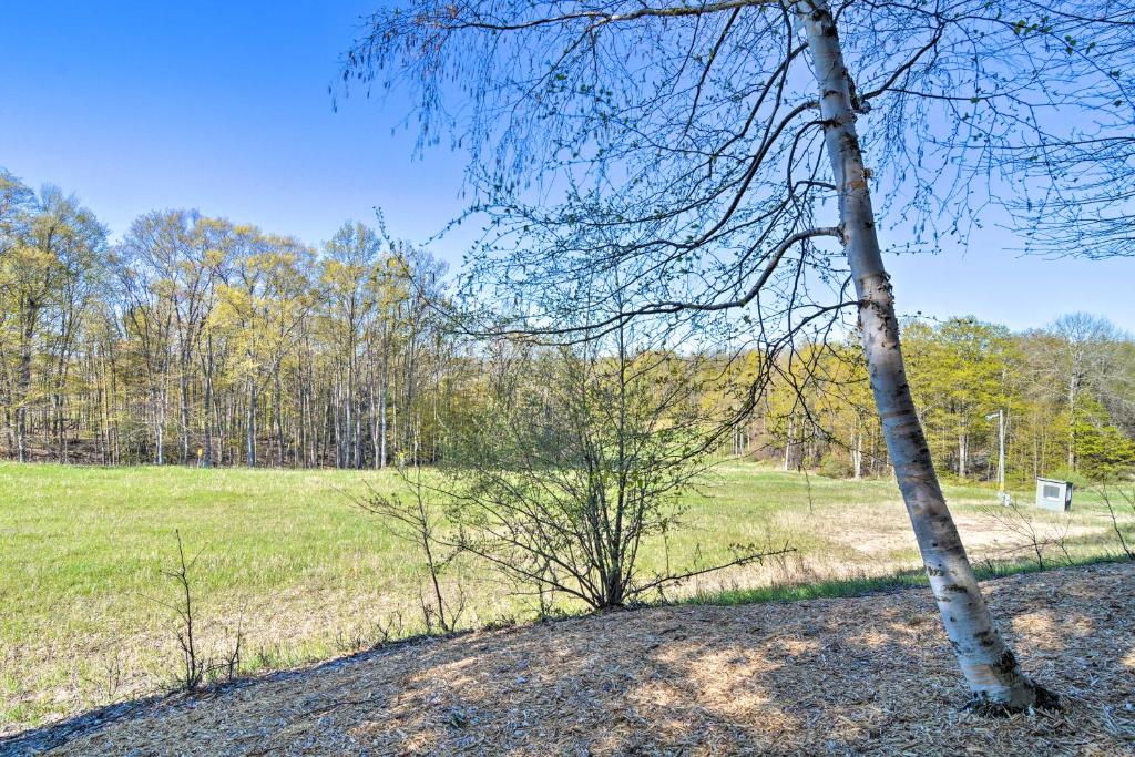 Cozy Shanty Creek Condo for Skiers and Golfers! - image 4