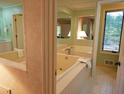 Year-Round Pleasure at Vacation Resort Condos in Bellaire - image 13