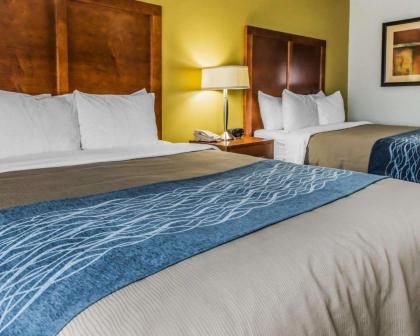 Comfort Inn Belle Vernon - image 2