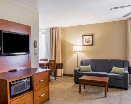 Comfort Inn Bellefontaine - image 8