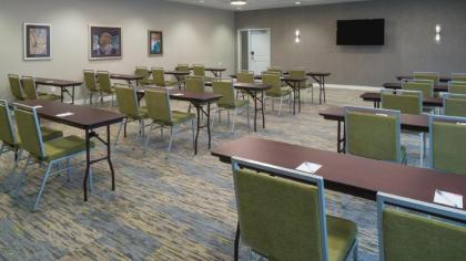 TownePlace Suites by Marriott Detroit Belleville - image 3