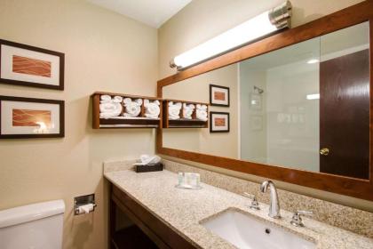 Comfort Inn & Suites Bellevue - Omaha Offutt AFB - image 7