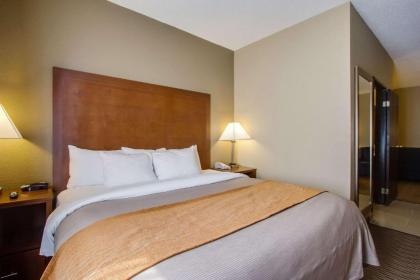 Comfort Inn & Suites Bellevue - Omaha Offutt AFB - image 9