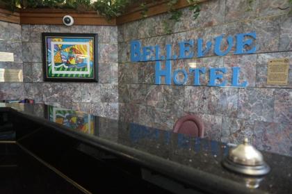 Bellevue Hotel and Suites - image 4