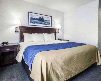 Comfort Inn Bellingham - image 11