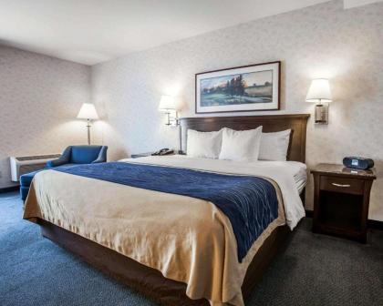 Comfort Inn Bellingham - image 7