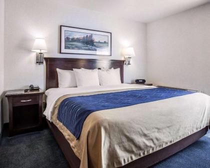 Comfort Inn Bellingham - image 9