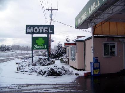 Shamrock Motel - image 2