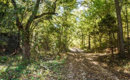 Tentrr Signature Site - Beautiful Campsite near the Brazos River - image 10