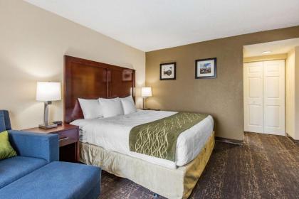 Comfort Inn College Park North - image 13