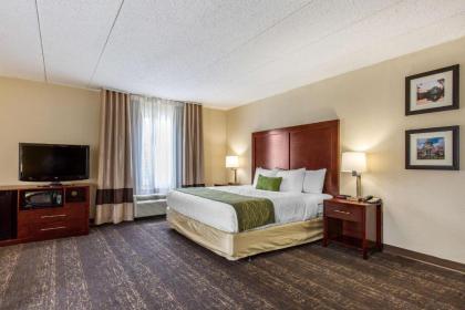 Comfort Inn College Park North - image 15