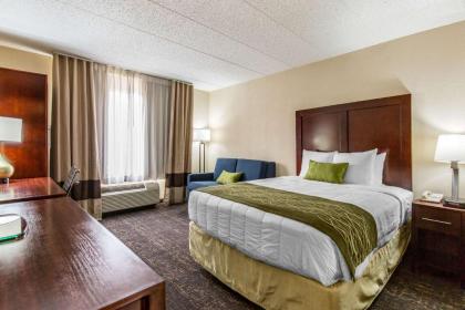 Comfort Inn College Park North - image 4