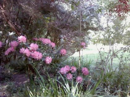 Fairview Manor Bed and Breakfast - image 11