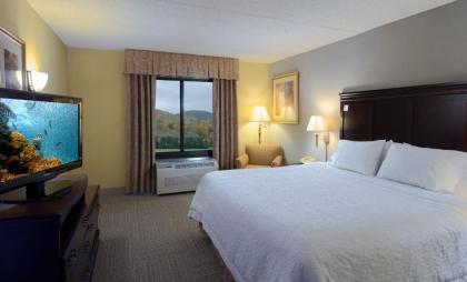 Hampton Inn Bennington - image 15