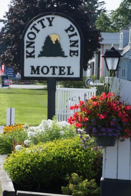 Knotty Pine Motel - image 10