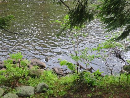 Tentrr - Riverside Reflections. Peaceful Pines. - image 9