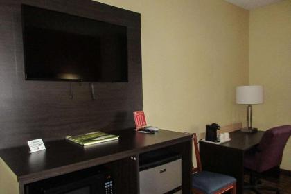 Quality Inn & Suites - image 3