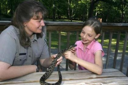 Cacapon State Park Lodge - image 5