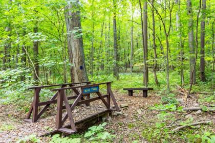 Coolfont Cabin - Huge Deck Grill 10 Mins to Town! - image 18