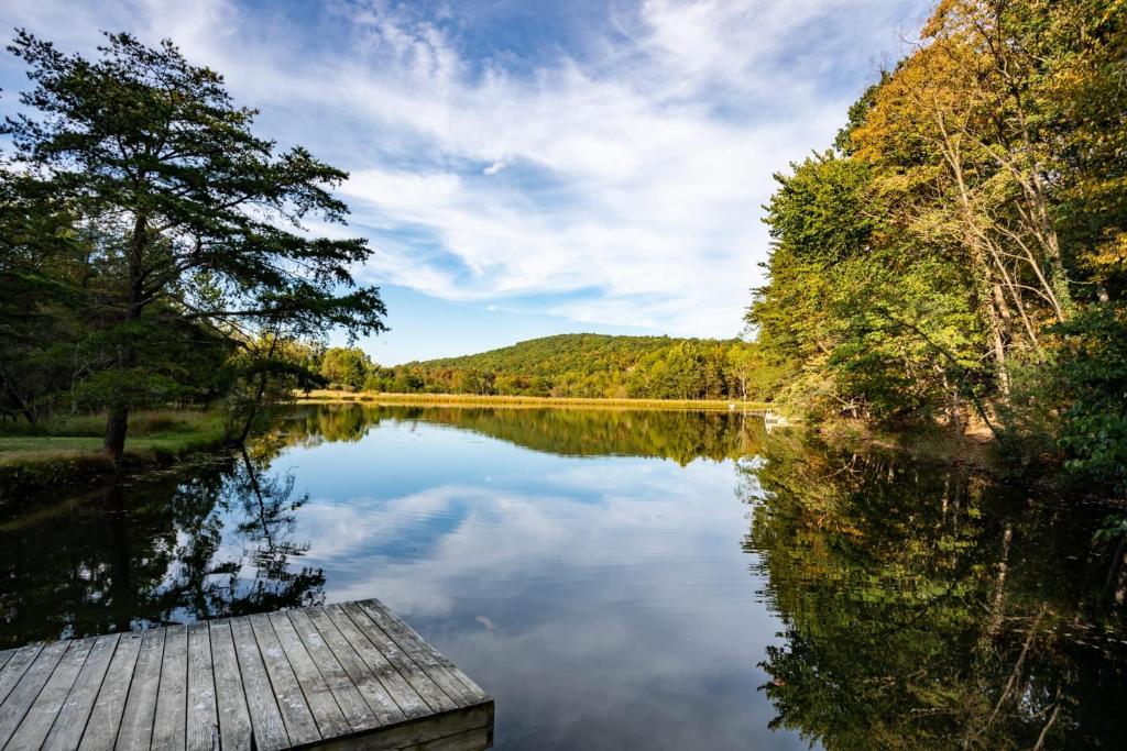 Chalet Cabin with Private Lake WiFi & Huge Deck! - image 4