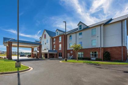 Red Roof Inn & Suites Bessemer - image 10