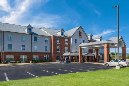 Red Roof Inn & Suites Bessemer - image 5