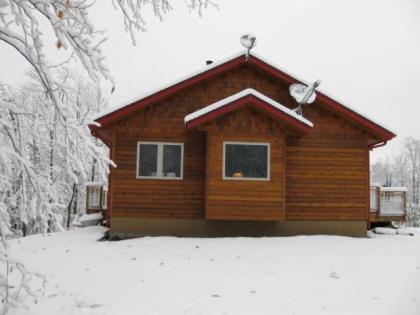 the Bear Cabin Michigan