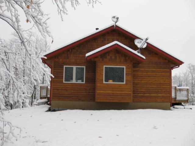 The Bear Cabin - main image