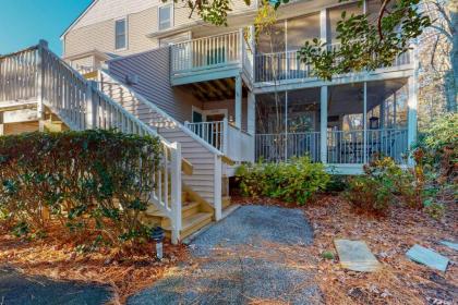 Sea Colony- 54010 Sand Dollar - image 1