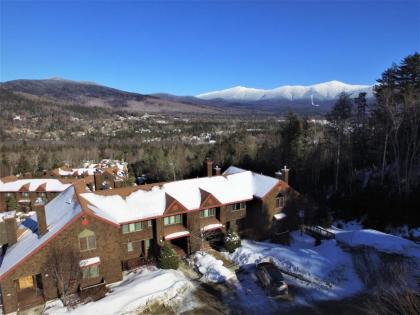 V3 Gorgeous SKI-IN Mountain View Townhouse with great views in Bretton Woods Fast wifi - image 9