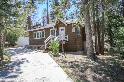 Grizzly Bear by Big Bear Cool Cabins - image 2