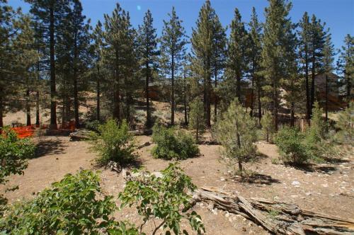 Cardinal Ridge by Big Bear Cool Cabins - main image