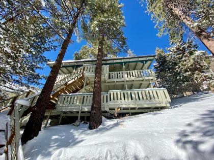 Happy Bear by Big Bear Cool Cabins - image 1