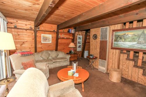 Bear Country Cabin - image 4