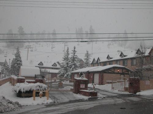 Slopeside Chalet - image 2