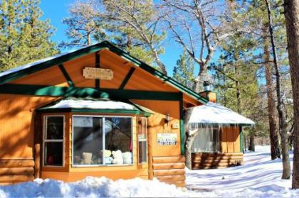 Holiday homes in Big Bear City California