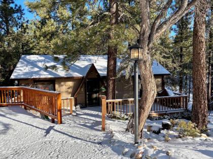 Holiday homes in Big Bear City California