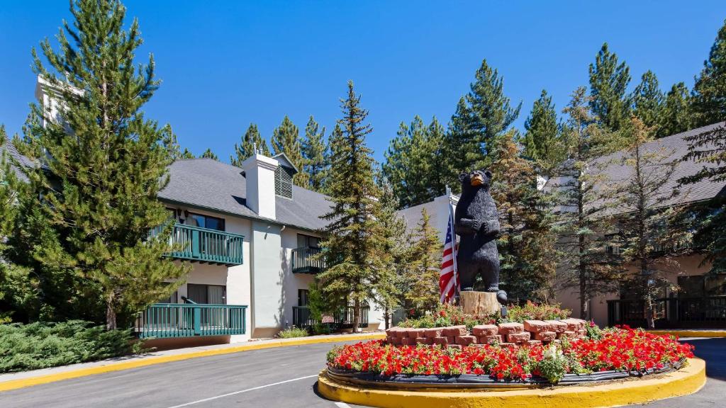 Best Western- Big Bear Chateau - main image