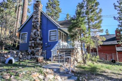 Sweet Blue Spruce Big Bear Lake