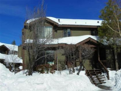 Brown Bear's Den Condo - image 3