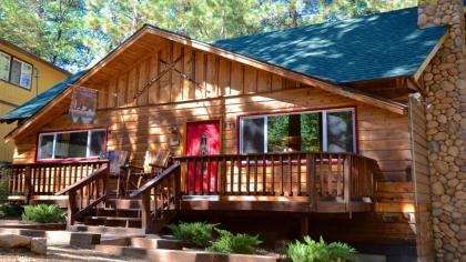 Forest Chalet California